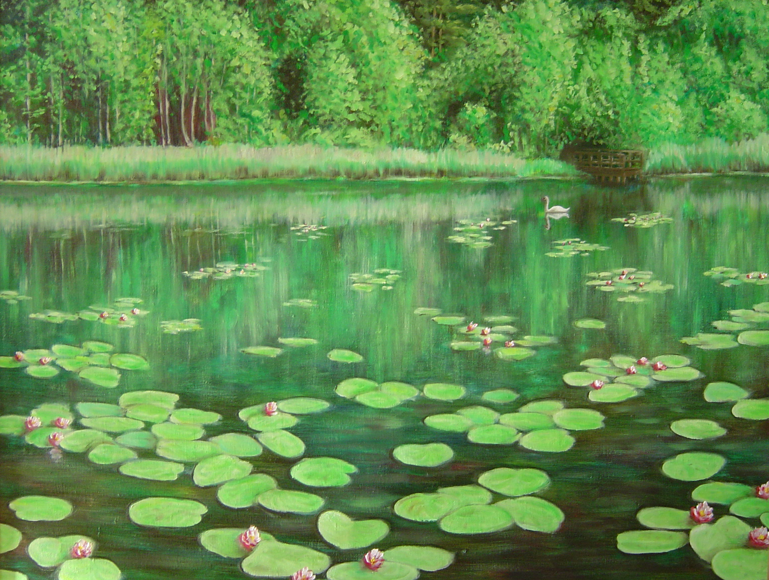 pond